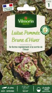 Laitue d'Hiver Brune d'Hiver